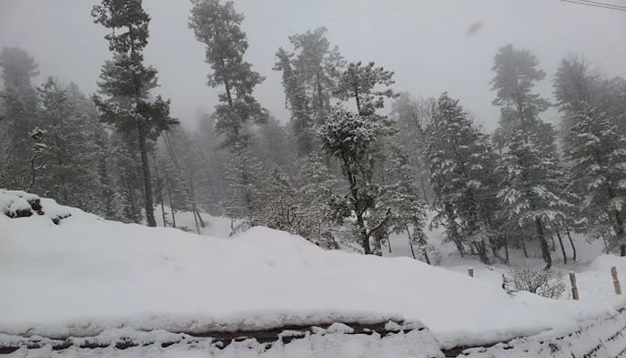 Snow covered trees and hills seen in this undated image from the northern areas of the country. — APP/File