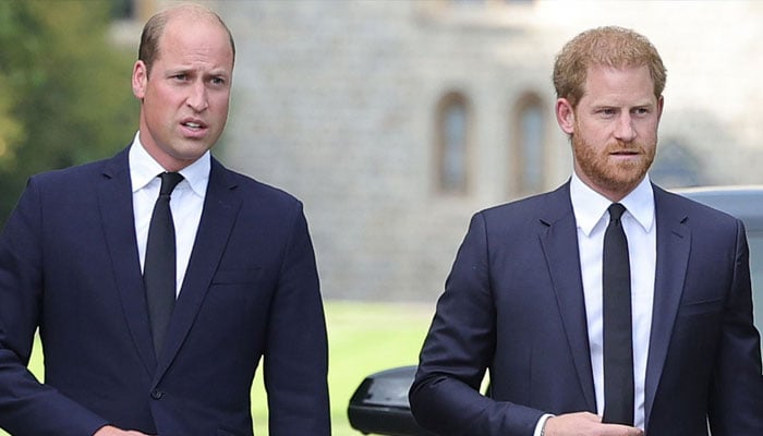 Prince William feels ‘sad’ seeing brother Prince Harry’s loneliness