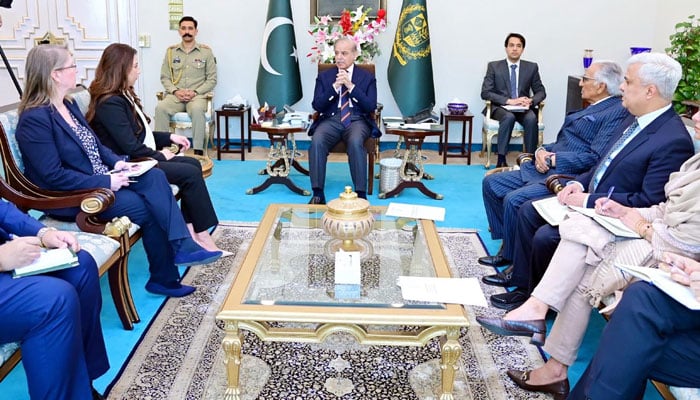 US Charge d Affaires Natalie Baker (third from left) pays a courtesy call on Prime Minister Shehbaz Sharif in Islamabad on February 18, 2025. — PID