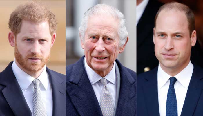 King Charles and Prince William will rue their mistakes