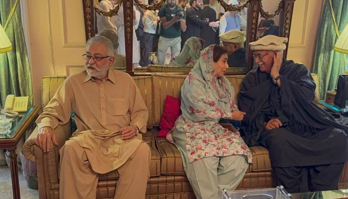 (From left) Pir Sahab Pagara pictured alongside Dr Fahmida Mirza and TTAP chief Mahmood Khan Achakzai on February 22, 2025. — Facebook@MehmoodKhanAchakzaiOfficia