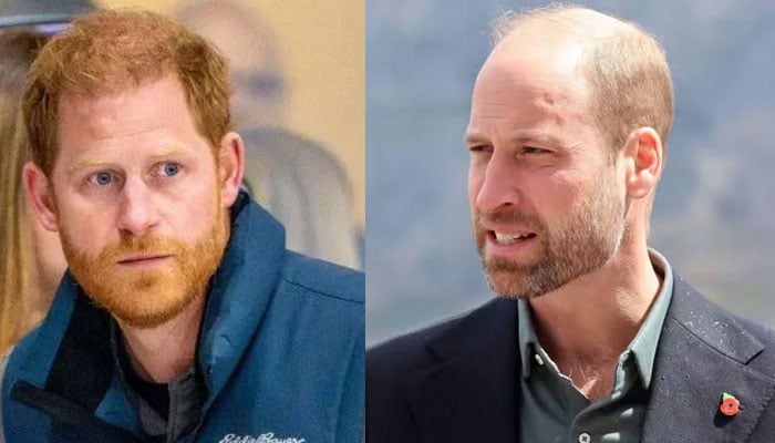 Prince William has lost his little brother Prince Harry