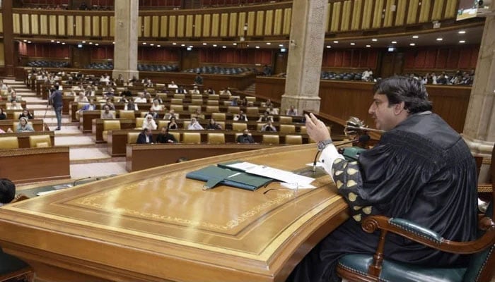 Punjab Assembly Speaker Malik Muhammad Ahmad Khan presides over a assembly session in this image on June 26, 2024. — Facebook/Malik Muhammad Ahmad Khan