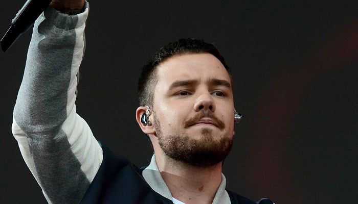 Liam Paynes shocking blood alcohol level at time of death revealed: Report