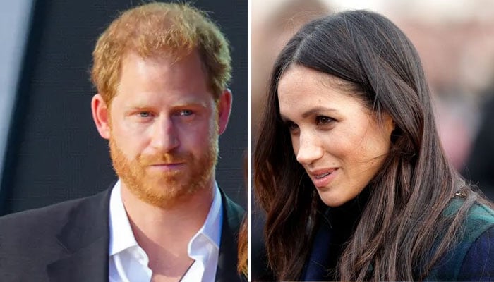 Meghan Markle branded ‘careless as Prince Harry relationship suffers