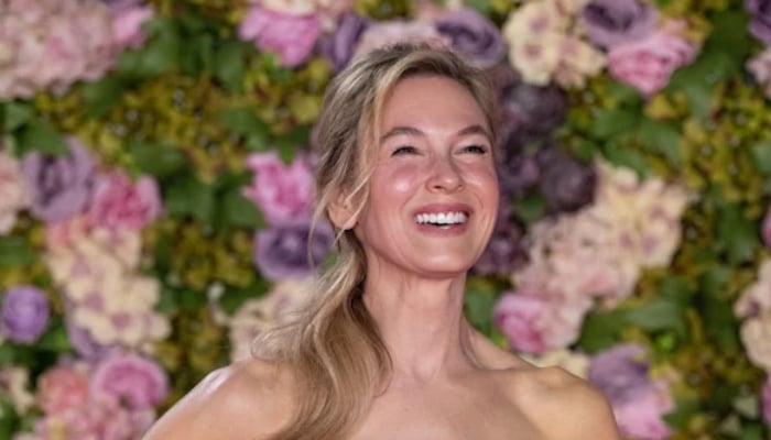 Photo: Renee Zellweger put off marriage amid Ant Anstead romance: Source