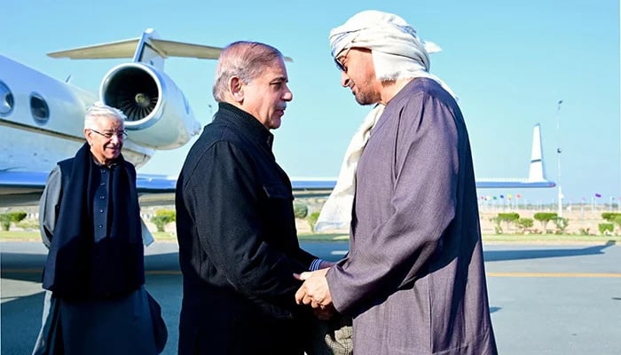 PM Shehbaz Sharif meets UAE President Sheikh Mohamed bin Zayed Al Nahyan in Rahim Yar Khan on January 5, 2025. — PID