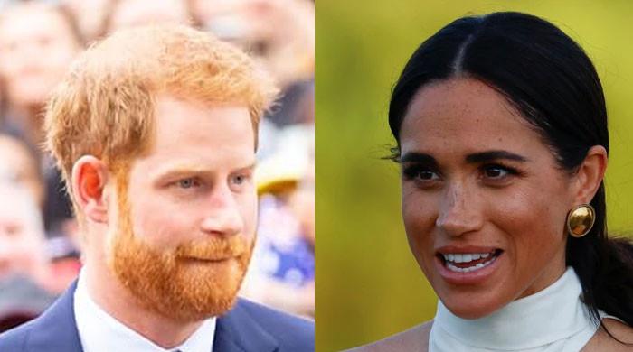 The Firm has hidden agenda for Prince Harry, Meghan Markle amid paranoia