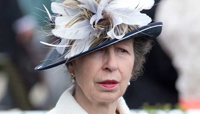 Princess Anne resembles Queen Elizabeth during latest royal engagement