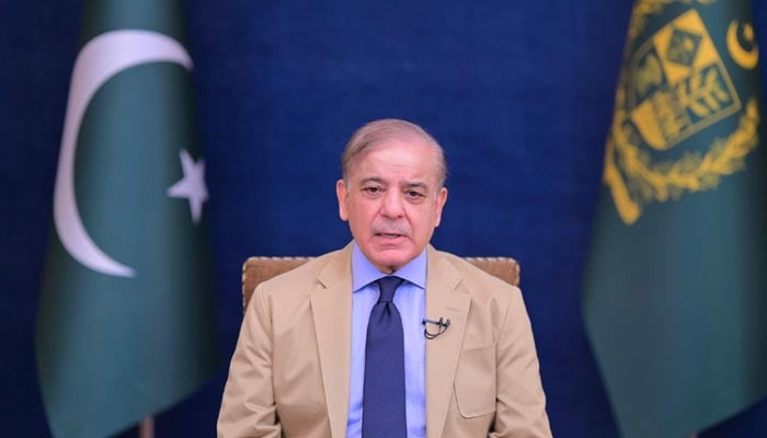 Prime Minister Shehbaz Sharif is addressing the nation on June 15, 2024. — X/@GovtofPakistan