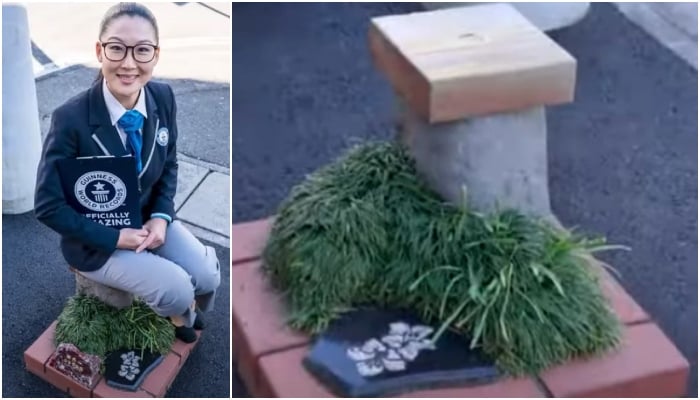 Nagaizumi Park in Shizuoka, Japan is certified as the worlds smallest park. — Screengrab via YouTube/@guinnessworldrecords