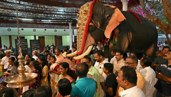 Hindu devotees gather around an adorned robotic elephant, newly donated by the Voice for Asian Elephants Society (VFAES) for religious rituals at the Chakkamparambu Bhagavathy temple in Thrissur, in India’s Kerala state on February 24, 2025. — AFP