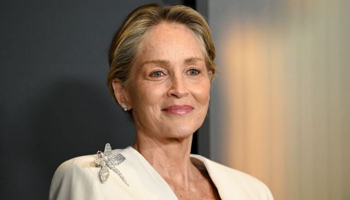 Sharon Stone’s raw confession about aging and self love comes to light