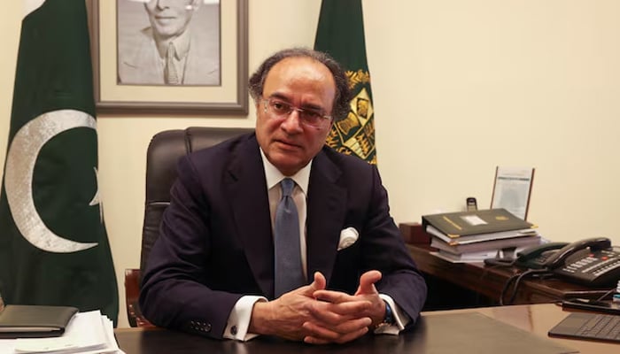 Finance Minister Muhammad Aurangzeb speaks during an interview with Reuters at his office in Islamabad, July 19, 2024. — Reuters