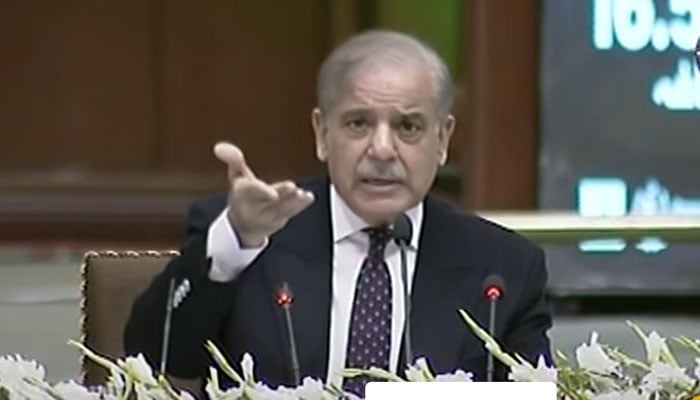 Prime Minister Shehbaz Sharif addresses cabinet meeting on March 4, 2025. — YouTube/Geo News/screengrab