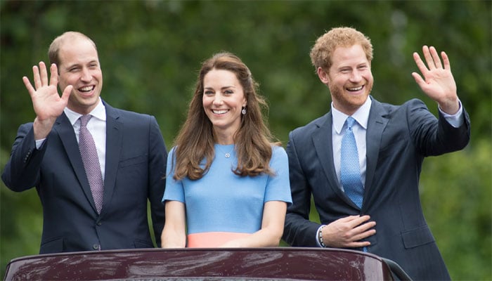 Prince William snubs Harry as Kate Middleton invites duke for lunch