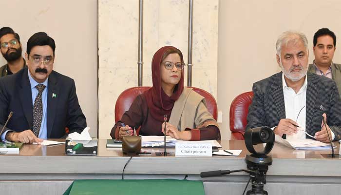 Dr Nafisa Shah chairs Gender Mainstreaming Committee meeting at Parliament House in Islamabad on March 4, 2025. — National Assembly of Pakistan/website