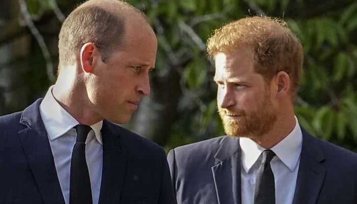 Prince Williams former aide reveals why he remains silent on Harry