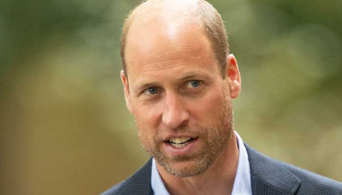 Prince William becomes target of wild conspiracy theory after Windsor Castle event