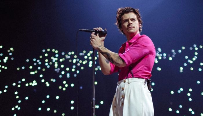 Harry Styles to end his professional hiatus?