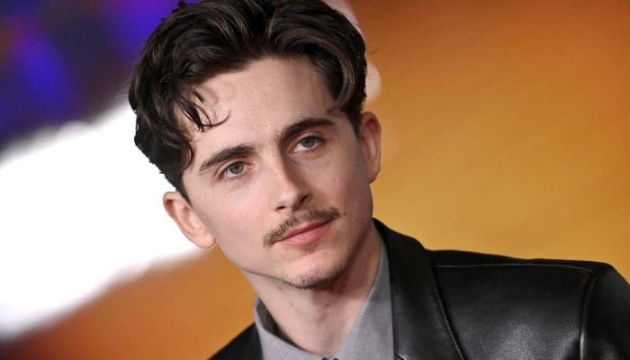 Photo: Timothee Chalamet proud to become Bob Dylans number one fan: Report