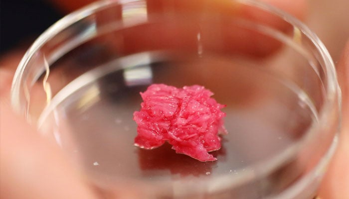 Osaka University Professor Michiya Matsusaki holds a Petri dish with cultured Wagyu beef at a lab at the university in Suita, Osaka Prefecture, Japan October 5, 2021 on October 5, 2021. — Reuters