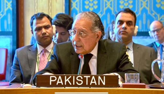 Pakistans Permanent Representative to the UN Ambassador Munir Akram speaks during the UNSC meeting on situation in Afghanistan on March 11, 2025. — X@PakistanUN_NY