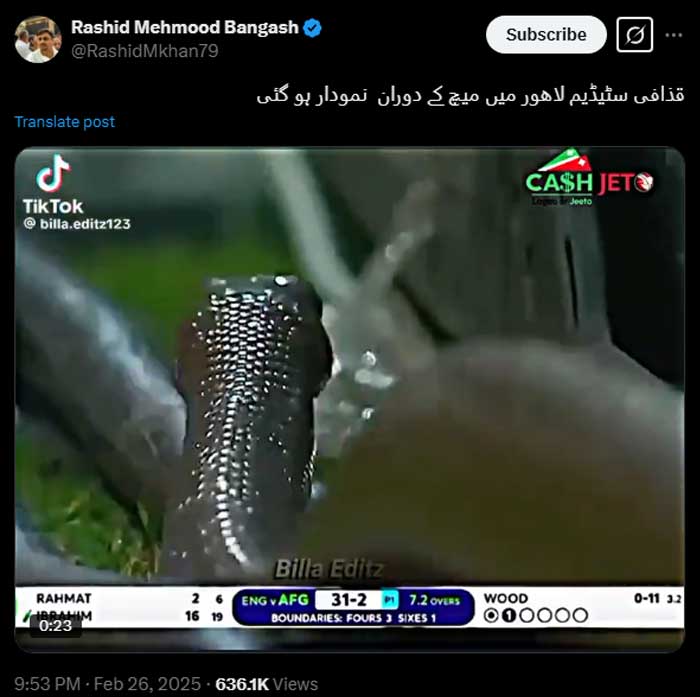 Fact-check: Snake video circulating as Lahore match footage actually from Sri Lanka