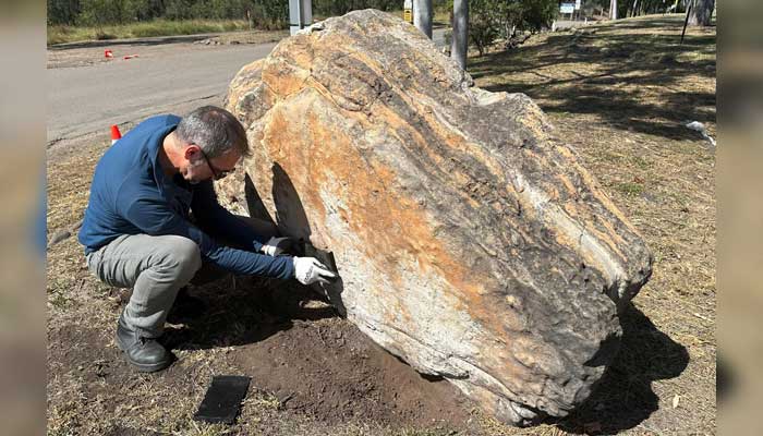 Trove of 200 million-year-old dinosaur footprints at Australian school