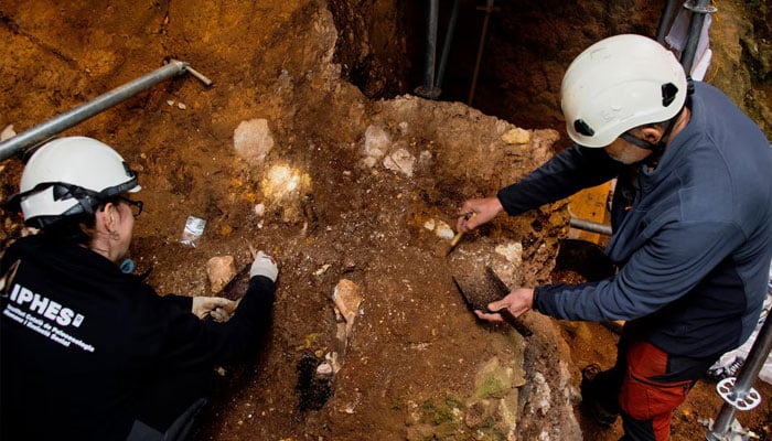 Archaelogists work on excavation at level TE7 of the Sima del Elefante site at Sierra de Atapuerca, near Burgos, Spain, in this undated handout image released on March 12, 2025. Maria D. — Reuters