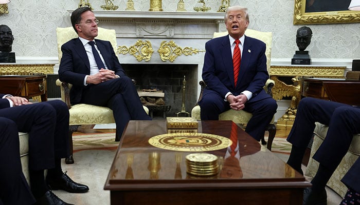 US President Donald Trump meets NATO Secretary General Mark Rutte, in the Oval Office at the White House in Washington, DC, US, March 13, 2025. — Reuters