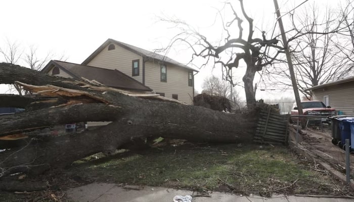 A tree lies toppled next to a house the morning after a tornado touched down in Florissant, Missouri, US, March 15, 2025. — Reuters