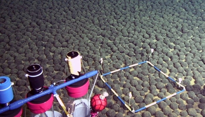 Image shows manganese nodules dense area discovered at some 5,500 meters deep in the exclusive economic zone of Japan, on April 17, 2016. — AFP