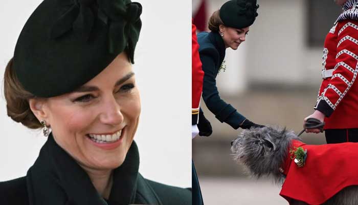 Why Kate Middleton was pictured patting a dog at St. Patricks Day Parade?