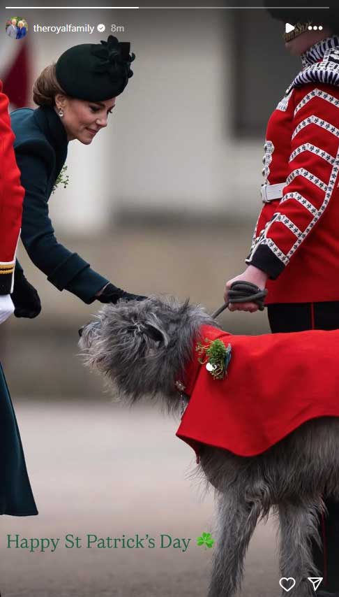 Why Kate Middleton was pictured patting a dog at St. Patricks Day Parade?