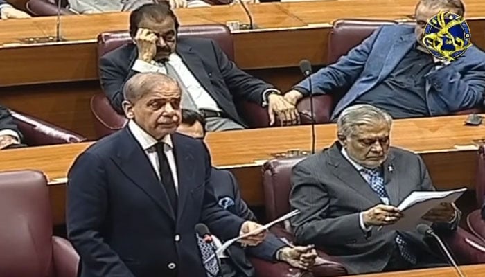 Prime Minister Shehbaz Sharif addresses the National Assembly session on March 18, 2025. — YouTube/Geo News/screengrab