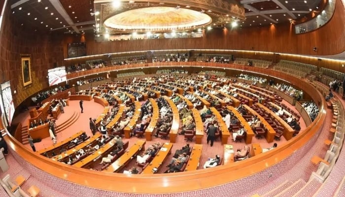 An undated image of National Assembly hall. — PTV website/File