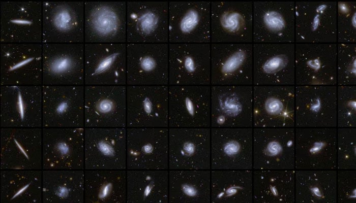 A combination image shows examples of galaxies in different shapes, all captured by the Euclid space telescope during its first observations of three Deep Field areas of the sky, in this handout released by the European Space Agency on March 19, 2025. — Reuters