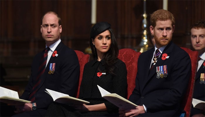 Meghan Markle releases statement as Prince Harry set to infuriate William: Sleepless nights